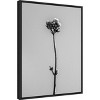 Amanti Art Amid the Flowers 16 by Teis Albers Canvas Wall Art Print Framed 18 x 24-in. - 3 of 4