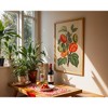 Poster Master  Flowers of the Greenhouses - Solanum Texanum - 2 of 2