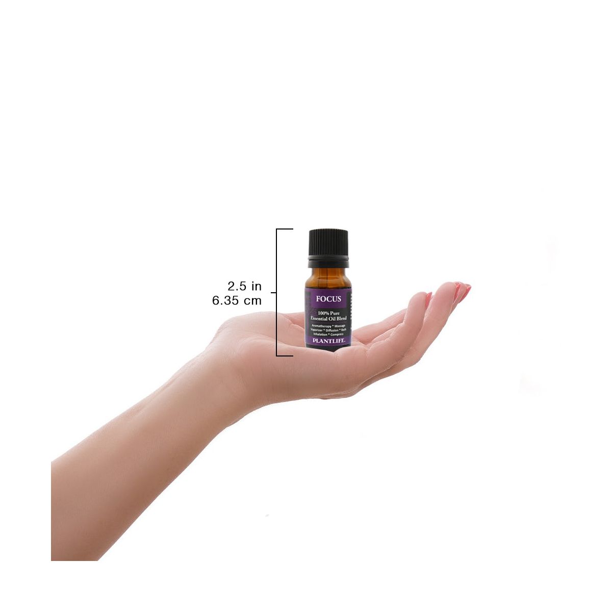 Plantlife Focus Essential Oil Blend – 100% Pure & Therapeutic Grade – Natural, Undiluted – No Additives or Fillers – Made in USA – 10ml Aromatherapy - thumbnail 3