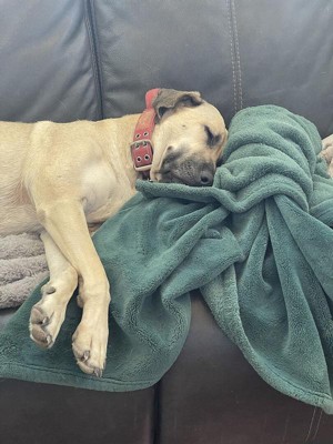 Guest review image 1 of 3, zoom in