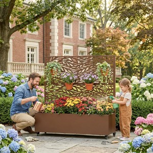 monstera vine plant Monstera adansonii | Swiss Cheese Vine Houseplant main image 0