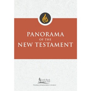 Panorama of the New Testament - (Little Rock Scripture Study) by  Stephen J Binz (Paperback) - 1 of 1