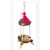 Prevue Pet Products Tiki Hut Playfuls Forage & Engage Bird Toy 62188. - 3 of 3