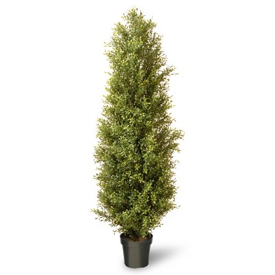 National Tree Company Indoor & Outdoor Plastic Argentia Faux Bush Plant Artificial Tree with Weighted Green Growers Pot, 72 Inches Tall