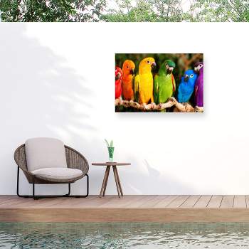 Mike Jones Photo Rainbow Parrots Outdoor Canvas Art