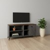 HomeRoots 47" Brown And Gray Distressed Reclaimed Wood Enclosed and Open Storage TV Stand - 2 of 4