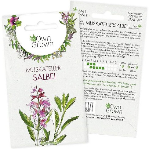 OwnGrown Muscat Sage Seeds for 30 Herb Plants, Purple