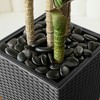 5-6ft UV & Sunproof Artificial Dracaena Tree for Indoor/Outdoor - Faux Silk Plant in Tall Planter, Tall Faux Tree for Home & Garden Decor - 4 of 4