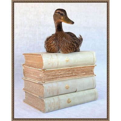 Amanti Art Tania Soderman Books I by Tania Soderman Framed Canvas Wall Art