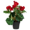 Northlight 11" Red Potted Silk Begonia Spring Artificial Floral Arrangement - 3 of 4