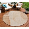 Terra Cotta Orange And Copper Abstract Washable Indoor Outdoor Area Rug - 2 of 4