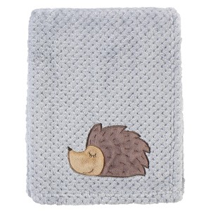 Hudson Baby Infant Boy Plush Waffle Blanket, Hedgehog, One Size - 1 of 2