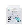 Andy Pandy Bamboo Training Pants - Size 4T - 18ct - 2 of 4