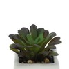 Unique Bargains Artificial Plants Ceramic Pot Plastic 2.01"x2.01"x2.95" 1 Pc - 4 of 4