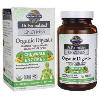 Garden of Life Dietary Supplements Dr. Formulated Enzymes Organic Digest+ Chewable 90ct