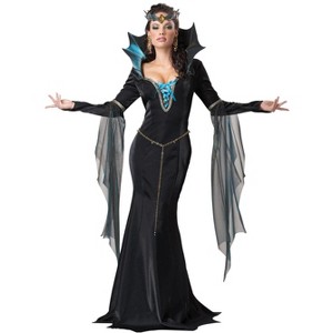 California Costumes Evil Sorceress Women's Costume - 1 of 1