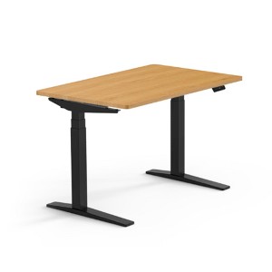 E7-PRO Height Adjustable Standing Desk - 1 of 1