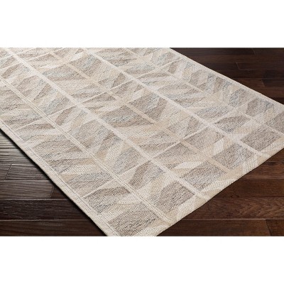 Hauteloom Rectangle Area Rug   Tan