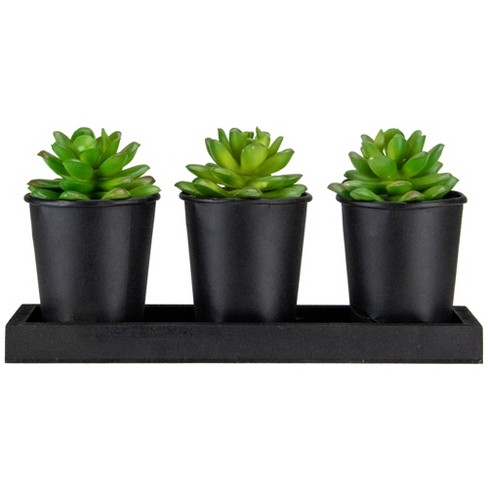 Northlight Set of 3 Mini Artificial Potted Succulents with Wood Planter 5" - image 1 of 4