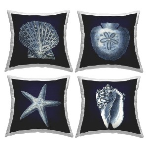 Stupell Industries Shells Starfish and Sand Dollar, 18 x 18 - 1 of 3