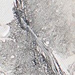 farmhouse gray