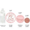 Big Dot of Happiness 13th Pink Rose Gold Birthday - Happy Birthday Party Giant Circle Confetti - Party Decorations - Large Confetti 27 Count - 3 of 4
