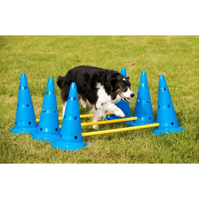 Adjustable Blue and Yellow Plastic Dog Agility Set