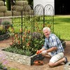 Garden Trellis for Climbing Plants 2 PCS,75 x 20 Inch Metal Trellis metel Fence Rustproof Black Powder Coated Outdoor for Supporting Climbing Plants - 4 of 4