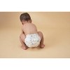 Millie Moon Luxury Diapers - (Select Size and Count) - image 2 of 4