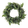 Sullivans Artificial 22" Eucalyptus & Sage Wreath - 4 of 4
