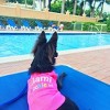 Parisian Pet 'Miami Poochie' Dog & Cat Shirt – Trendy Embroidered Vacation Dog T-Shirt, Comfortable & Machine Washable – Pink - 3 of 4