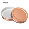 Unique Bargains Leak Proof Regular Mouth Tin Plate Mason Jar Lids 30 Pcs - 3 of 4