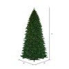 Vickerman Grand Teton Artificial Christmas Tree - 3 of 4