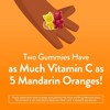 L'il Critters Immune C Dietary Supplement Gummies - Fruit - 190ct - 4 of 4