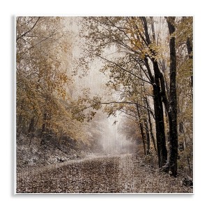 Stupell Industries Sunlit Woodland Nature Trail, 12" x 12" - 1 of 4