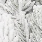 green with white snow