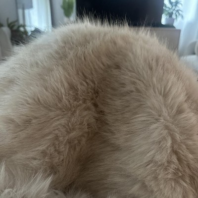 Guest review image 2 of 2, zoom in