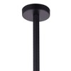 CWI Lighting Strum 1 Light Down Pendant With Black Finish - 4 of 4
