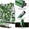 Cucumber Trellis 4x4FT Metal A-Frame Garden Trellis with Netting, Heavy-Duty Outdoor Climbing Plant Support – Green - 2 of 4