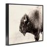 Stupell Industries Shaggy Buffalo Rustic Portrait Vintage Sepia Tone Photography Black Framed Giclee Art - 3 of 4