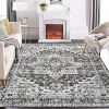 Vintage Medallion Area Rug,Washable Low-Pile Non-Slip Stain-Resistant Soft Carpet for Living Room, Bedroom & Office - 3 of 4