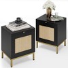 Rattan Night Stands Set 2, Modern Farmhouse Pattern Side Table, End Table with Tray - 2 of 4