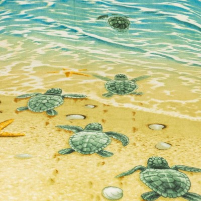 turtles on the beach