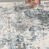 Vintage Printed Non Slip Area Rug Distressed Washable Soft Low Pile Indoor Non Shedding Accent Carpet for Living Room Bedroom - 4 of 4
