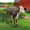 Design Toscano The Grand-Scale Wildlife Animal Collection: Hereford Steer Statue - 2 of 4