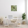 Stupell Industries Green Botanical Succulent Bloom, 24" x 24" - 2 of 4