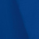 royal blue/black mesh