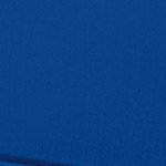 royal blue/black mesh