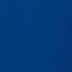 royal blue/black mesh