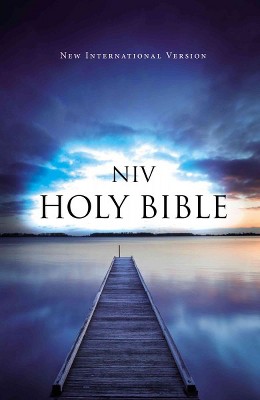 Value Outreach Bible-NIV - by  Zondervan (Paperback)